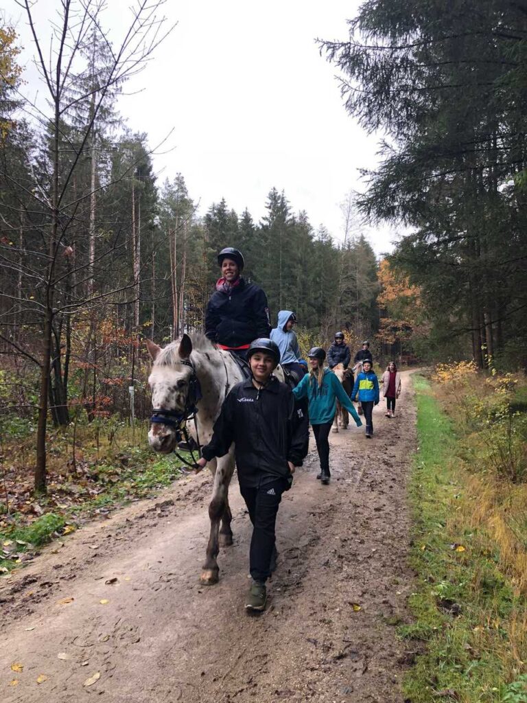 Das Leben auf dem Ponyhof